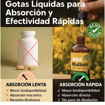 EXTRACTO DE HOJA DE GORDOLOBO SILVESTRE + ENVIO GRATIS